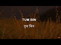 Tum Bin Jaoon Kahan | Karaoke Song with Lyrics | Pyar Ka Mausam | Kishore Kumar | Shashi Kapoor