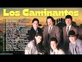 LOS CAMINANTES 35 GRANDES ÉXITOS ROMÁNTICOS - LOS CAMINANTES SUS MEJORES CANCIONES - OLDEST CLASSIC