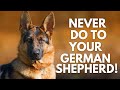 5 Things You Must Never Do to Your German Shepherd