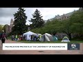 Pro-Palestinian protests at University of Washington