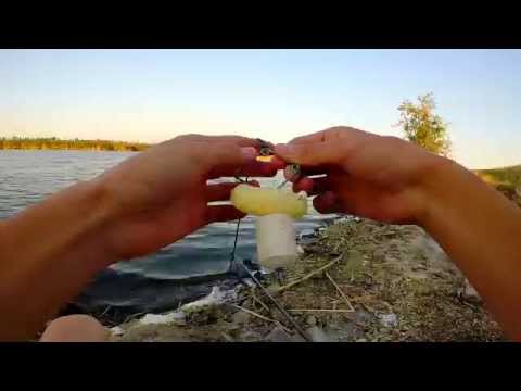 карп ловля видео на технопланктон карп ловля видео на технопланктон