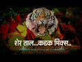 Sher Taal Dhumal | Dj Akshay Kinhi Jawade | Sandesh Pawar Jalka | Dj Satya Galwa Production |✓ Kadak