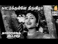 Kaatukkulle Thiruvizha - HD Video Song | காட்டுக்குள்ளே திருவிழா | Thaai Sollai Thattadhe | MGR