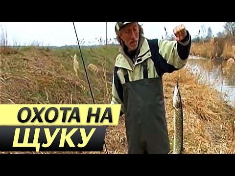фильм о том как ловить щуку фильм о том как ловить щуку