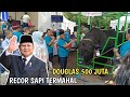 DEAL 500 JUTA, PECAH RECOR SAPI TERMAHAL DI INDONESIA || SAPI HITAM BESAR ( DOGLAS )‼️
