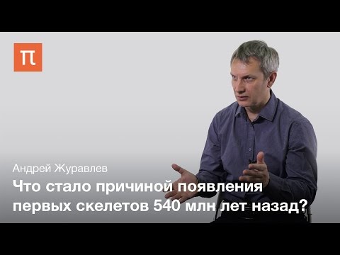 Дизайн мышления журавлева Дизайн мышления журавлева
