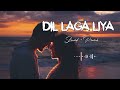 Dil Laga Liya | Slowed+ Reverb+Lofi | Tiktok viral | Trending Song | Lofi song | lofi editz music