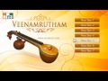 Veenamrutham Instrumental Album - Veena Songs - Relaxing Music | my3music