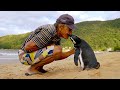 Download Jinjing The Penguin - Swims 5000 Miles Every Year To Visit The Man Who Saved Him mp4 3gp mp3 videos - waplic