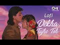 Dekha Tujhe Toh - Slowed & Reverb | Koyla | Kumar Sanu | Alka Yagnik | 90's Love Songs | Lofi Songs