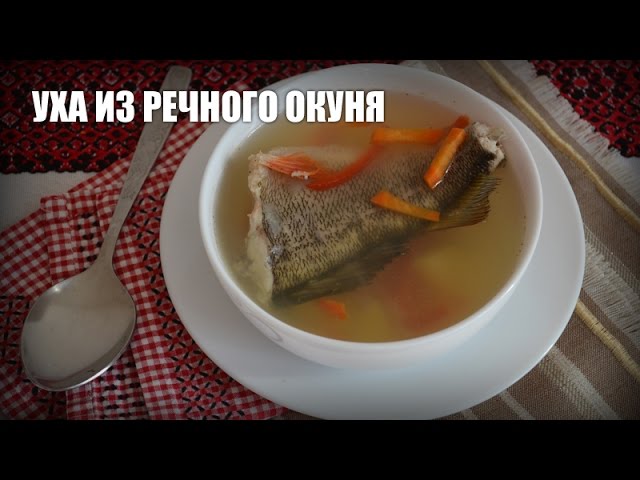 как варить уху из окуня видео как варить уху из окуня видео