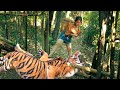 The girl builds huge tiger trap to catch angry tiger follow her
