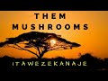 Itawezekanaje ...by mushroom