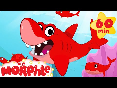 Shark Dolphin Turtle and Whale Morphle shorts 1 hour Morphle kids compilation 