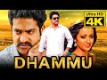 Dhammu (4K) Telugu Hindi Dubbed Full Movie | Jr. NTR, Trisha Krishnan, Karthika Nair