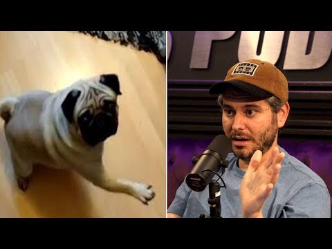 Ethan Klein On Count Dankula Going to Prison