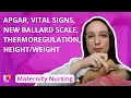 APGAR, Vital Signs, New Ballard Scale, Thermoregulation, Height/Weight - Maternity | @LevelUpRN