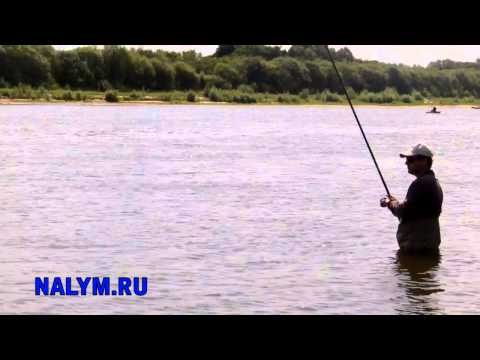 ловля болонской удочкой ранней весной видео ловля болонской удочкой ранней весной видео
