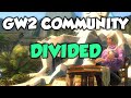 GW2 Why Players are DIVIDED on Cosmetic Inspection