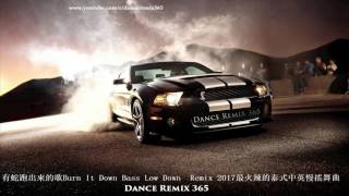 DANCE REMIX 365 - 中文慢搖 vol 250 有蛇跑出來的歌Burn It Down Bass Low Down Remix 2017最火辣的泰式中英慢搖舞曲