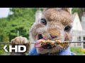 Rabbits vs. Electric Fence Scene - Peter Rabbit (2018)