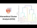 Hierarchical Cluster Analysis (HCA) in OriginPro | Biostatistics | Statistics Bio7