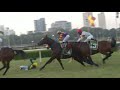 Mumbai Horse Full Race 2019 at Mahalaxmi Race Course | #HorseDerby in India | Mahalaxmi #Racecourse