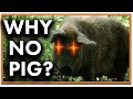 Why Is Pork Forbidden?