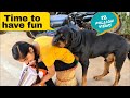 My dog is trying to irritat anshu || the rott best video | funny dog videos.