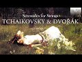 Tchaikovsky & Dvořák: Serenades for Strings