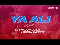 Ya Ali | DJ Shadow Dubai x Dhyan Mashup | Gangster | 2024