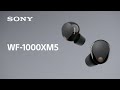 Sony Noise Cancelling Headphones WF-1000XM5 Official Product Video | Official Video