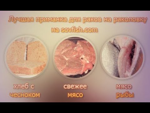 бизнес идеи прикормка для рыбалки бизнес идеи прикормка для рыбалки