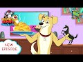बावरची  ज़ोरदार | Funny videos for kids in Hindi | बच्चों की कहानियाँ | हनी बन्नी का झोलमाल
