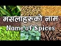 मसलाको नाम  | Names of Spices in Nepali and English
