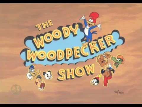 The New Woody Woodpecker Show (1999-02) [GR Intro] - VidoEmo