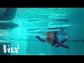 Download How infant self-rescue classes work mp4 3gp mp3 videos - waplic