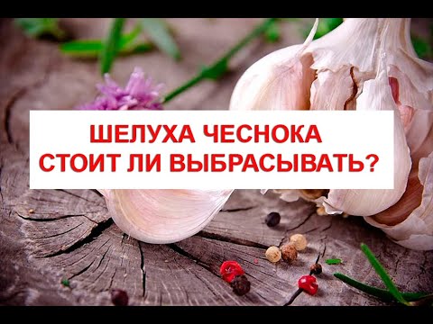 Сонник чеснок сажать во сне 7