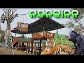 Nandankanan Zoological Park | 2nd Largest Zoo of India | Rope Way | Toy Train | Tiger Safari |