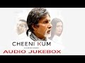 Cheeni Kum (Audio JukeBox) | Amitabh Bachchan & Tabu