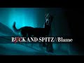 𝐁𝐔𝐂𝐊 𝐀𝐍𝐃 𝐒𝐏𝐈𝐓𝐙//Blame | Music video | The Call of the Wild 2020