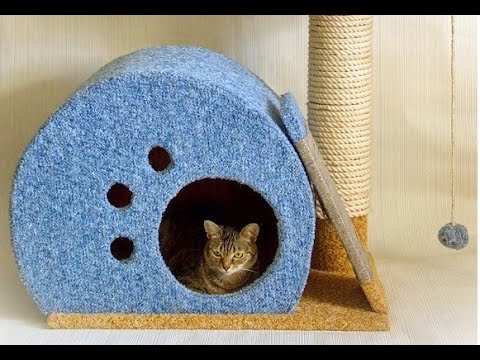 Как сделать домики для кота
