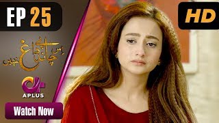 Is Chand Pe Dagh Nahin - Episode 25 Aplus ᴴᴰ Dramas Zarnish , Firdous Jamal Pakistani Drama Is Chand Pe Dagh Nahin - Episode 25 Aplus ᴴᴰ Dramas Zarnish , Firdous Jamal Pakistani Drama