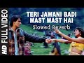Teri Jawani Badi Mast Mast Hai || slowed reverb || lofi 🎧