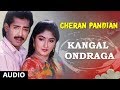 Kangal Ondraga Full Song || Cheran Pandian || Sarath Kumar, Srija, Soundaryan | Tamil Songs