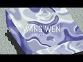 Wang Wen - Invisible City (Full Album)