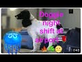 Doggie shift at airport