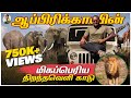 World Famous African Safari | Tamil Trekker