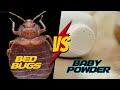 Does Baby Powder REALLY work for Bed Bugs?  [COMPLETE Tutorial]