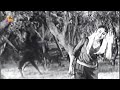 Yaanai Paagan 1960 Movie Fight Scene | Udaykumar | Saroja Devi | Manorama | IFB